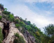 Image of Visitors traveling to Battambang Bat Cave by tuktuk