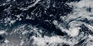 Hawaii News Now - News update