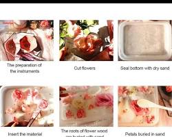 flowers buried in silica gel in a containerの画像