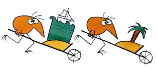 Image result for shadoks