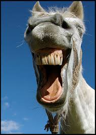 images?q=tbn:ANd9GcT6tANMAd0TNEMg3RBTODoYpJy896drABYmhUl5SFp2TsL0WrPAAg