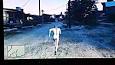 ‫ویدئو برای مکان آدم های خورشید پرست (لخت ) در gta v‬‎