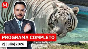 Muere Kenzo, el tigre de Bengala que escapó en Edomex | Carlos Zúñiga, 2 de julio de 2026