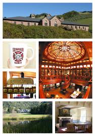 Image result for skywalker ranch