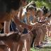 Cross-Country: Meet info for theNewarkAcademy Invitational