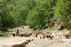 Image result for ‫روستای خسرویه فاروج‬‎