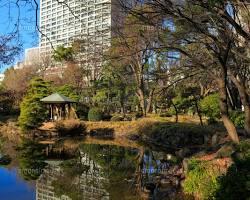 日比谷公園 雲形池の画像