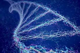 Image result for human genetics