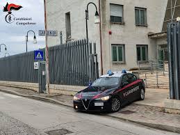 Quotidiano del Molise - News update