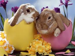 Image result for easter