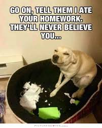 Funny Dog Quotes | Funny Dog Sayings | Funny Dog Picture Quotes via Relatably.com