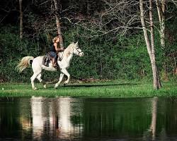 Image of Pundt Park, Cypress, Texas