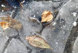 Estas zonas de Aguascalientes tendrán temperaturas congelantes por el Frente Frío 27