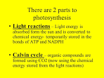 Questions for 2 parts of photosynthesis <?=substr(md5('https://encrypted-tbn2.gstatic.com/images?q=tbn:ANd9GcT7hIc5W3FS-zGxCGl_AzGcgyTmGHxDrUvRZpODAIqdXNqWjtm9Agzc1ziz'), 0, 7); ?>