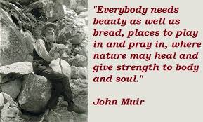 Top three memorable quotes by john muir photo Hindi via Relatably.com