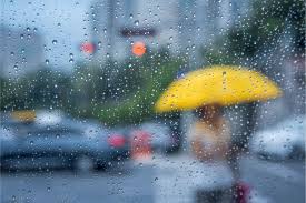 Chuva intensa e temperaturas variando entre 19°C e 29°C em Palmas
