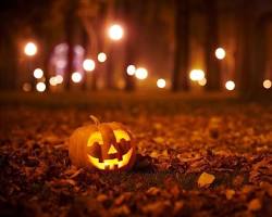 Halloween pumpkin patch