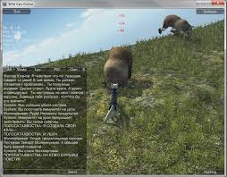 Hasil gambar untuk game warriors online