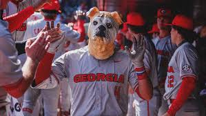 baseball standings Picture