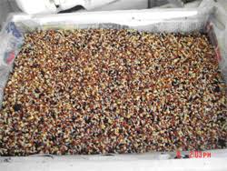 Image result for RAU MẦM CẢI XANH