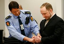 Image result for anders behring breivik