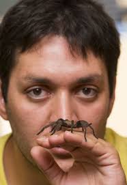 My colleague Renan Castro Santana, pictured with a placid Phlogius crassipes, Thick-legged Eastern Tarantula. Renan is from Brazil and preparing to do a PhD ... - rr-thick-legged-eastern-tarantula