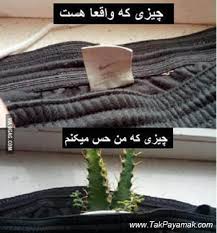 Image result for ‫عکس نوشته های خنده دار‬‎