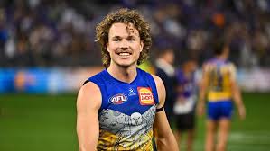 afl.com.au - News update