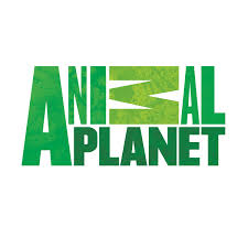 ANIMALPLANET