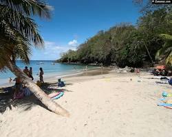 Image de Anse Noire beach, Martinique