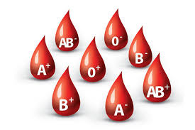 Image result for blood
