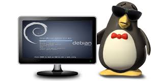 Hasil gambar untuk pengertian debian wheezy