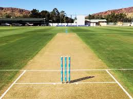Image result for cricket pitch