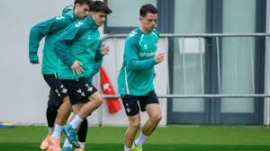 álvaro fidalgo Picture