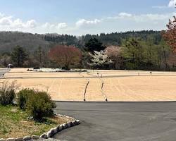 もみの木森林公園の全景の画像