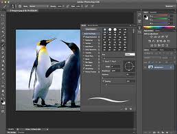 Hasil gambar untuk adobe photoshop cs6