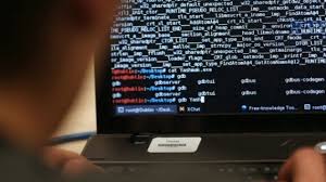 Image result for Ardit Ferizi