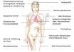 Bulimie. Symptome Ursachen Wissen Patient