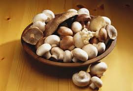 Imagini pentru tipuri de ciuperci