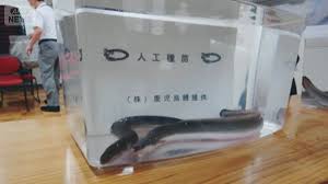 テレ朝NEWS - News update