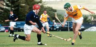 Résultat de recherche d'images pour "shinty"