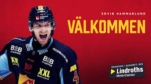 Luleå Hockey - News update