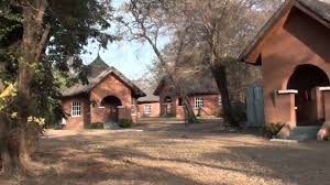 Image result for images of yankari game reserve