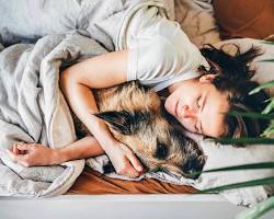 person and their dog cuddlingの画像