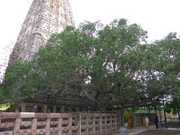 Image result for ehsq nagarjuna group