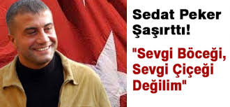alaattin çakıcı sedat peker ile ilgili görsel sonucu