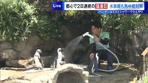 Yahoo!ニュース - News update