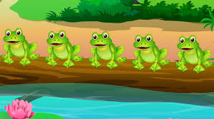 Image result for frogs