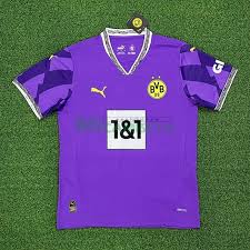 Camiseta Borussia Dortmund 2024-2025 Morado Portero 