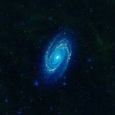 Image result for galaxy m81